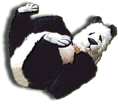 Tofu - Mohair Teddy Bear Handmade by Artist Denise Purrington